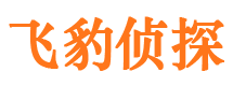 沈丘私家调查公司